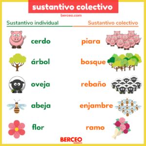 sustantivo colectivo de rosa